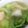 モグタソ's cooksnap of when they made 白菜と鶏肉の煮物.