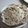 春小町's cooksnap of when they made そば粉入りトルティーヤ.