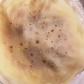 Mikko姉's cooksnap of when they made 簡単すぎる！お手軽クレープ生地☆.