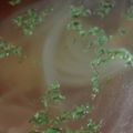 あゆたっくん's cooksnap of when they made 汁物をプラス★玉ねぎとハムのスープ.