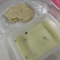 クックYVDMSV☆'s cooksnap of when they made 卵なし！油なし！おからパン☆食パン風.