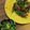 クックGSPP23☆'s cooksnap of when they made オータムポエムの塩きんぴらとバターソテー.
