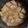 ★あち★★'s cooksnap of when they made 激うま♡とろとろ大根のみそそぼろ煮.