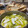 ☆stella's cooksnap of when they made イカとじゃがいものアヒージョ.