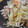 ネコひな's cooksnap of when they made めんつゆで！ほっともっと風★肉野菜炒め.