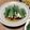 ういき☆彡's cooksnap of when they made おつまみ＊ご飯のお供に最高！しそ大根.