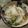 gospelyuka's cooksnap of when they made かぶの鶏ひき肉あん.