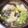 rukafleur's cooksnap of when they made 包丁不要～ずぼらーのレタススープ.
