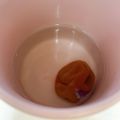 ももんが♡'s cooksnap of when they made 胸焼け・二日酔いに☆感動梅茶.