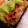hitomi♪＊'s cooksnap of when they made おべんとうのおかずに簡単生姜焼き.