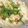 ブランシュkuu's cooksnap of when they made ほうれん草で卵スープ.