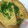 xyzクック's cooksnap of when they made 簡単☆きつねうどんのおあげさん.