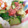キャシーキャサリン's cooksnap of when they made きゅうりの梅おかか和え.