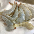 kzr孤鳩's cooksnap of when they made 殻付きエビの下処理.