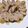 ＊じゅんころべぇ＊'s cooksnap of when they made くるくるロール白菜.