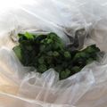 トムラウシ's cooksnap of when they made めっちゃ簡単‼︎大根の葉の漬物☆.