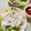 かわゆう1211's cooksnap of when they made 春菊としらすの和風サラダ.