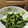 2525コック's cooksnap of when they made 簡単一品！ほうれん草のにんにくバター炒め.