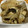 りお♪'s cooksnap of when they made きのこと山芋の白だしバター炒め.
