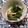 ﾁｲﾁｬﾝﾏﾏ's cooksnap of when they made ほうれん草とエノキのわかめあえ♪.