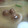 あゆたっくん's cooksnap of when they made 大根としめじのとろろ昆布入りみそ汁.