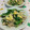 赤い電話's cooksnap of when they made ほうれん草と豚肉と卵の炒め物.