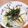 ゆきんこ007's cooksnap of when they made アイラップで！キャベツとわかめのナムル.