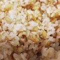 梅里うめこ's cooksnap of when they made おかかと天かすの甘辛おにぎり.
