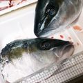 ぽんぽこ♩'s cooksnap of when they made ヒラマサ（ヒラス）のさばき方.