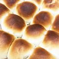 きなこ˙ᴥ˙'s cooksnap of when they made ふわふわ柔らか　ちぎりパン.