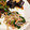やつはしひじり's cooksnap of when they made ほうれん草ともやしの梅肉ナムル.