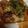 ヨシヨッシー's cooksnap of when they made メカジキのソテー♪薬味ソースかけ♪.