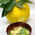 かっちゃん杉's cooksnap of when they made 豆腐と椎茸のお吸い物＊柚子と三つ葉で.