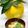 かっちゃん杉's cooksnap of when they made 豆腐と椎茸のお吸い物＊柚子と三つ葉で.