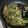 クックプ～'s cooksnap of when they made 小松菜と挽肉のピリ辛オイスター炒め.
