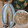 ろっちゃんごはん's cooksnap of when they made 冷蔵庫でカマスの一夜干し.
