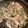 クックDERGN7☆'s cooksnap of when they made 【幼児食】豚ネギ丼.