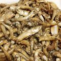 ｍａｍａｒａｄｅ's cooksnap of when they made わかさぎ（ちか）の甘露煮.