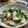 gongmei's cooksnap of when they made ぶりとカブのピリ辛味噌炒め.