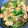 __おもち's cooksnap of when they made 簡単♪鶏胸肉（ささみ）のしょうが焼き.