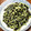 減塩パパ's cooksnap of when they made 枝豆みたいダヨ。ひたしまめ。.