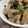 Faiza's cooksnap of when they made こんにゃくとワカメの炒め煮：レオン亭.