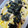 こは☆☆☆'s cooksnap of when they made 激ウマ☆チキンときのこの和風パスタ.