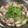 ydk1103's cooksnap of when they made たっぷり野菜をいただく！すだち豚しゃぶ.