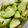 クックYA5TEY☆'s cooksnap of when they made はやとうりの簡単浅漬け!.