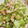 クックWPB3Y9☆'s cooksnap of when they made *余ったガリ*と*きゅうり*であと一品☆.