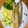 ☆626☆'s cooksnap of when they made 【保育園給食】ししゃものサクサク揚げ.