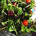 ぽインコ。's cooksnap of when they made 豆苗の海藻サラダ.