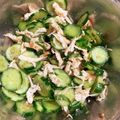 つむぎんまん's cooksnap of when they made 薬味たっぷりささみうめキュウ.