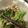 もんす。's cooksnap of when they made 大豆とブロッコリーのごまマヨサラダ♪.